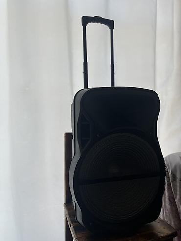 philips genie 2000: Daşınan təkərli akustik kolonka - Güclü ön bass dinamikli, geniş — 2
