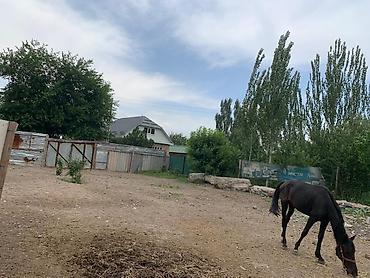 Продажа коттеджей и домов: Продаётся дом с просторной планировкой. - Большая кухня-столовая с — 8