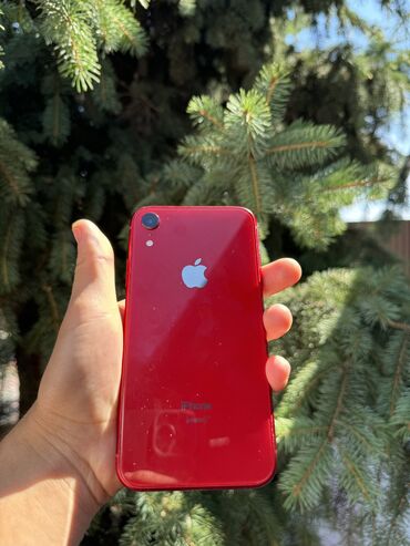 айфон 8 цена в бишкеке новый: IPhone Xr, Б/у, 64 ГБ, Красный, Чехол, 80 %