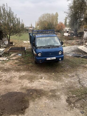 машына ош: Легкий грузовик, Hyundai, Стандарт