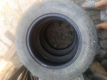 165 13: Зимние шины Dunlop Winter Maxx 195/65 R15 91Q. без шишек и трещин в — 1