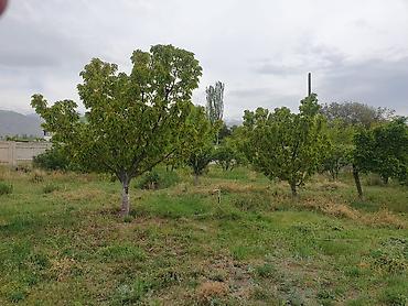 Продажа коттеджей и домов: 🏡 продаётся особняк в Чолпон-ате! 🏡 📍 район семетей (выше Арки — 3