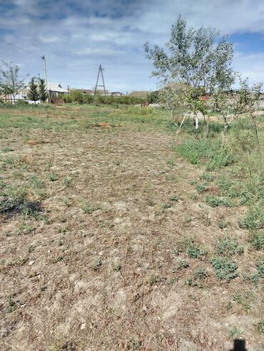Torpaq sahələrinin satışı: 30 sot, Kənd təsərrüfatı, Mülkiyyətçi, Bələdiyyə — 3