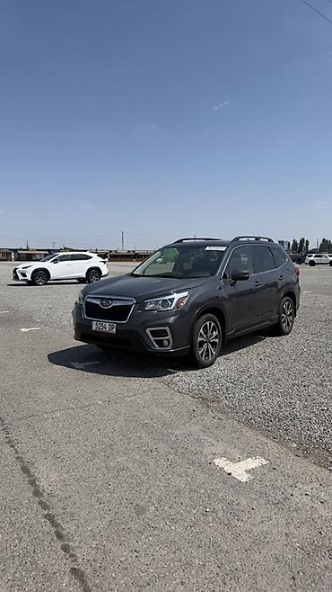 outback 2004: Subaru Forester: 2020 г., Кроссовер — 1