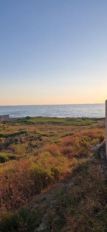 see breeze: 100 sot, Tikinti, Mülkiyyətçi, Kupça (Çıxarış) — 3