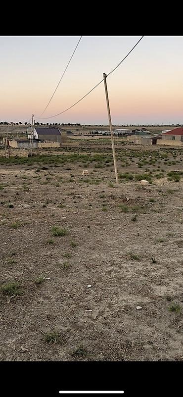 masazırda torpaq: 20 sot, Kənd təsərrüfatı, Mülkiyyətçi, Bələdiyyə, Kupça (Çıxarış), Müqavilə — 1