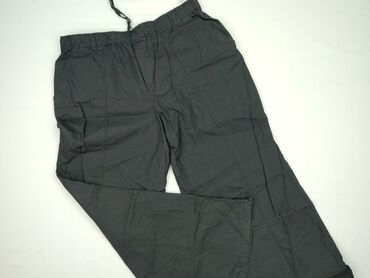 koszulki męskie vistula: House, Men's trousers, XL (EU 42), condition - Perfect