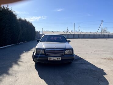 Mercedes-Benz: Mercedes-Benz S-Class: 1993 г., 5 л, Автомат, Газ, Седан — 9