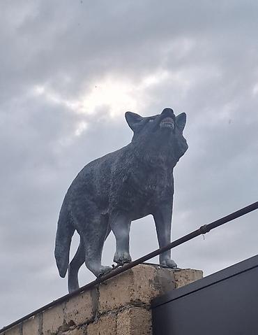 Fiqurlar: Fiqur — 1