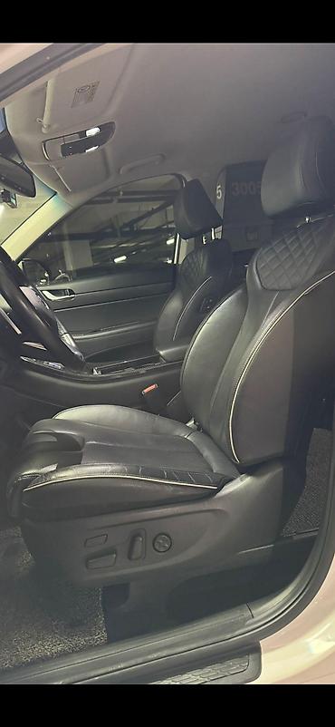 Hyundai: Hyundai Palisade: 2019 г., 3.8 л, Кроссовер — 12