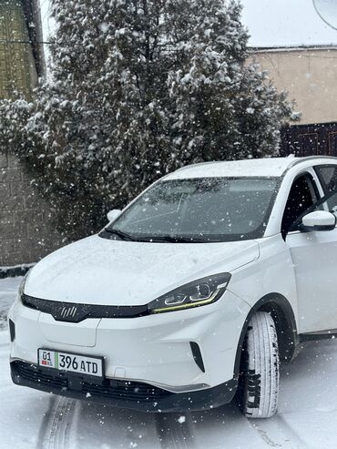 тико машине: Weltmeister EX5, 2020 г., 40 км, Бар