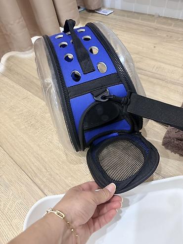 Зоотовары: Набор для кошки/котёнка(б/у) В комплект входит: - Когтеточка-столб с — 4