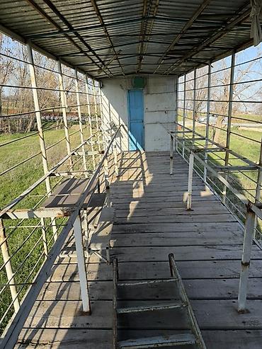 Другие аксессуары для шин, дисков и колес: Платформа для пчел На тракторной основе с откидной площадкой — 4