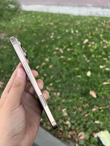 iphone 6c: IPhone 16 Pro Max, цвет Gold Память 256,89% в идеальном — 4