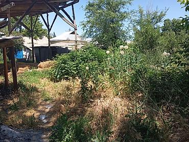 Кыймылсыз мүлк: Жилой дом с приусадебным участком В селе Петропавловка - — 4