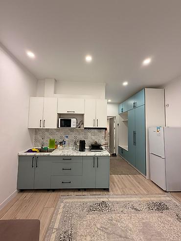 я ищу квартира из кызылкия: 1 комната, 33 м², Элитка, 1 этаж, Евроремонт — 6