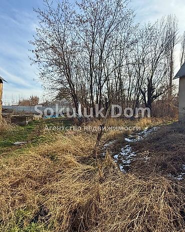 Продажа домов: Дом, 50 м², 3 комнаты — 6