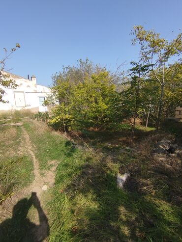 Videomüşahidə: Merkanda kupçalı 14 sot torpaq satılır içinde köhne tikili var yol — 9