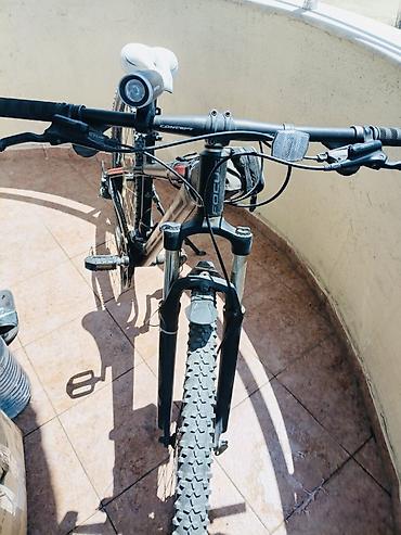 velosiped ucuz qiymete: Velosiped Focus 500 azn satilir — 3