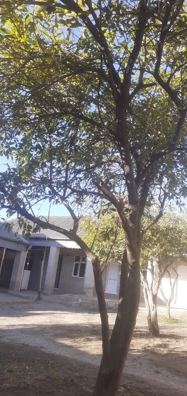 Həyət evləri və villaların satışı: 6 otaqlı, 400 kv. m, Kredit yoxdur, Təmirsiz — 6