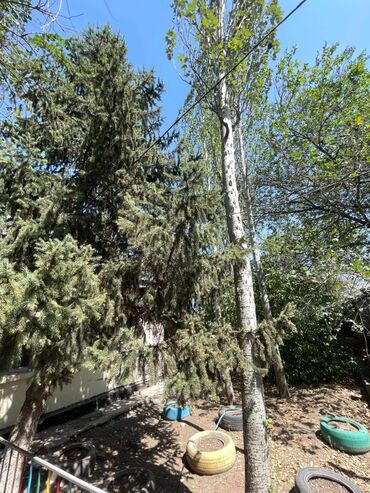 продаю квартиру в центре: 18 соток, Курулуш, Сатып алуу-сатуу келишими, Кызыл китеп, Техпаспорт