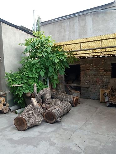 Продажа коттеджей и домов: Продаётся дом, 80 кв. м. 6 комнат, кирпичный, тёплый. Хозпостройки — 29