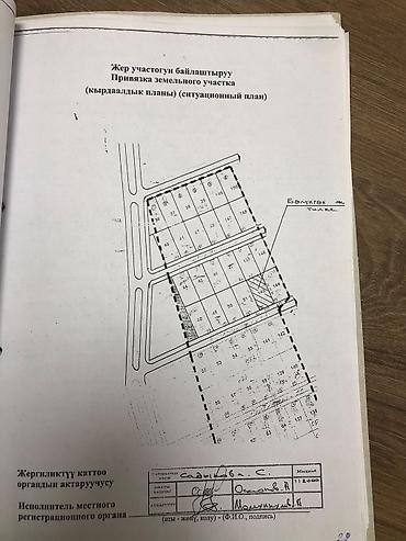 Жер тилкелери: 8 соток, Кызыл китеп — 2