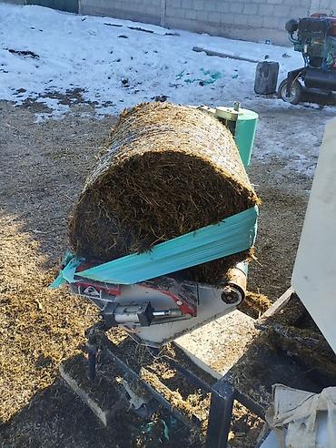 Корма для с/х животных: Силос 9 сомдон. Сенаж 12 сомдон. Токмок кегети беде биринчи кос таза — 6