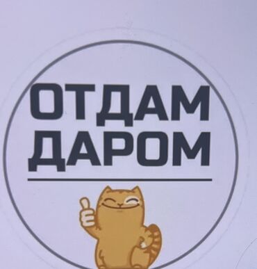 форма военных: Приму даром мужские вещи 50-60 размер Мужской обувь 41-44 размер