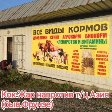 куры несущих: Кукуруза, ячмень,овес, пшеница, отруби, жмых, дробленки,рожки, лапша