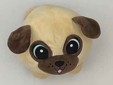 koszulka z psem: Mascot Dog, condition - Very good
