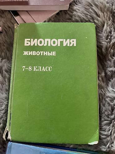 Другие учебники: Учебники — 16