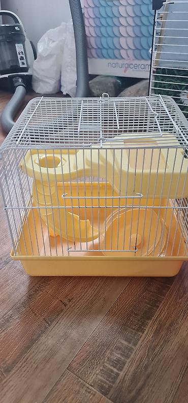 mal qara satisi: Cırtdan hamsterlər və tam avadanlıqlı qəfəs dəsti 2 qəfəs böyük və — 3