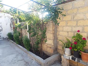 Həyət evləri və villaların satışı: Tecili satilir. Heyetde. 2 ev var — 13