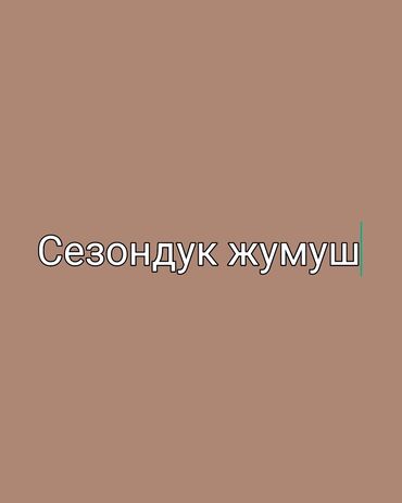 работа в охрану: Талап кылынат Түшүм терүүчү, Төлөм Күнүмдүк, Үйлөрүнө жеткирүү