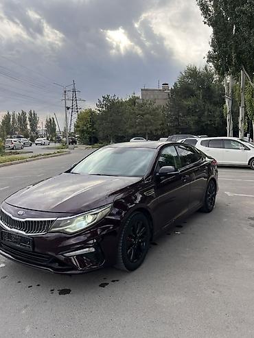 продаю киа оптима: Kia Optima: 2014 г., 2.4 л, Бензин, Седан — 3