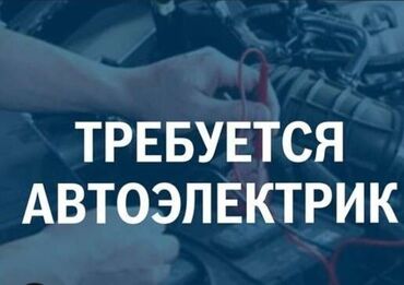 Автобизнес, сервисное обслуживание: Требуется автоэлектрик село Ленинская
