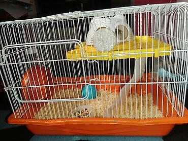 Xamyak üçün tam dəst qəfəs HAMSTERLE BIRLIKDE. Zabratdan götürülmə
