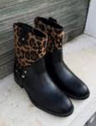 Čizme: Čizme, 41 — 17