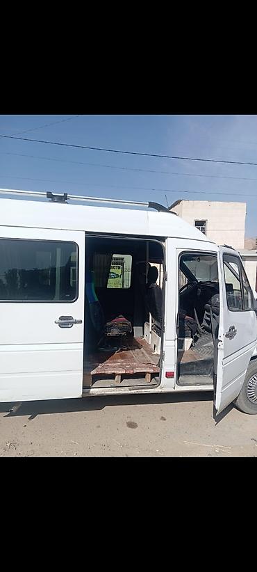w210 e320: Mercedes-Benz Sprinter — пассажирский микроавтобус (длинная база — 5