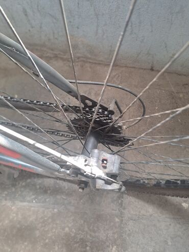 трехколесный велосипед взрослый: Dağ velosipedi Adidas, 29"