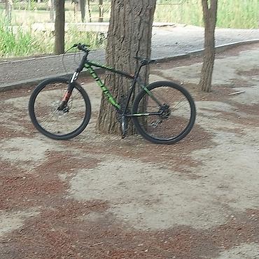 İdman velosipedləri: Salam satılır focus black forest rama alüminium transmisiya altus — 2