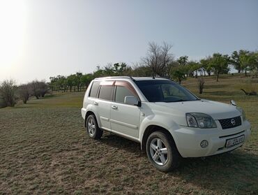 дополнительный свет: Nissan X-Trail (T30), белый кроссовер/внедорожник. Кузов и экстерьер