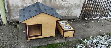 вольеры для собак бу: Продаются будки и вольеры для собак и кошек, разных пород, на заказ и — 9