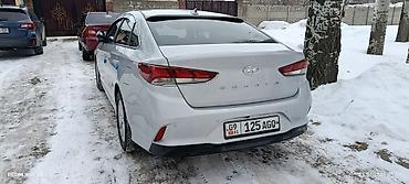 Hyundai: Hyundai Sonata: 2020 г., 0.2 л, Автомат, Бензин, Седан — 4