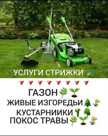 услуги садовников в Кыргызстан | ДВОРНИКИ, САДОВНИКИ: Я садовник ухаживаю за садом огородом обслуживание за садом садовник