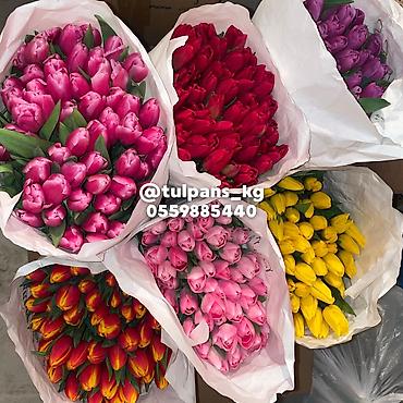 Цветы и букеты: СВЕЖИЕ тюльпаны к 8 Марта 🌷 Голландские луковицы 🇳🇱 | 40–50 см Опт и — 4