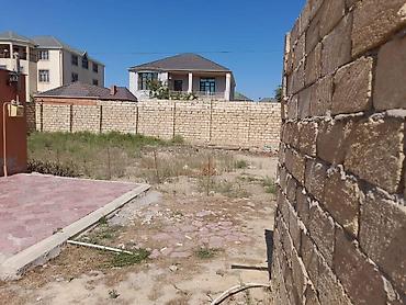 baxca: 3 sot, Kənd təsərrüfatı, Mülkiyyətçi, Kupça (Çıxarış) — 3