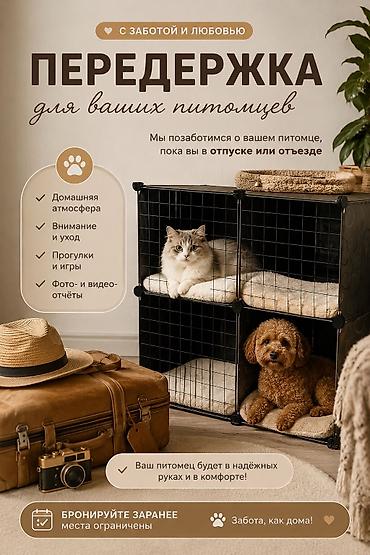 отель для кошек: 🐱 Передержка кошек в уютных условиях 🐱 Уезжаете в отпуск — 1
