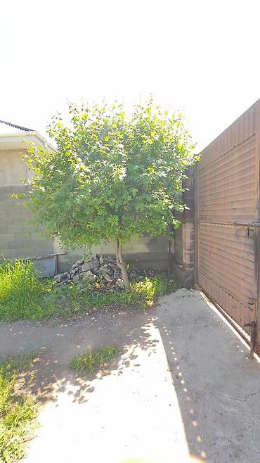 Продажа коттеджей и домов: 🏡 Продаётся дом в новостройке Арашан 📍 Арашан 📄 Красная книга, договор — 2
